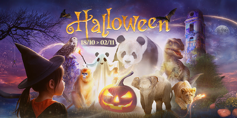 PAIRIDAIZA | HALLOWEEN IS BACK