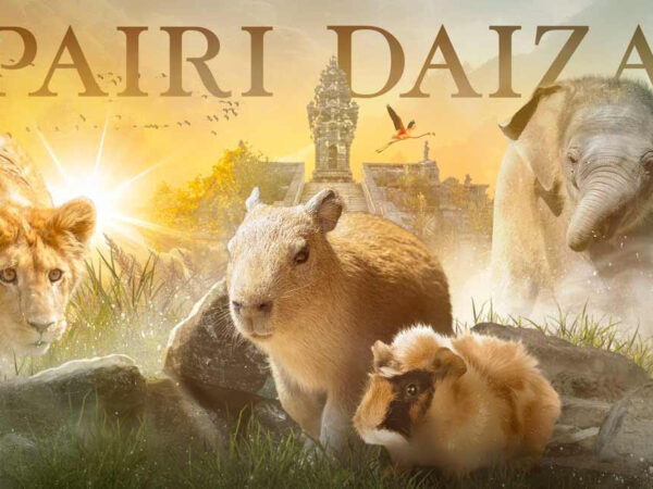 PAIRIDAIZA | Une idée de sortie pour ce weekend !